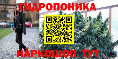 бошки Новозыбков