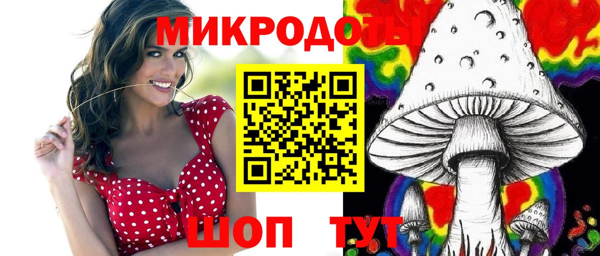Тавда  что такое   Вход с VPN  Псилоцибиновые грибы Psilocybe 