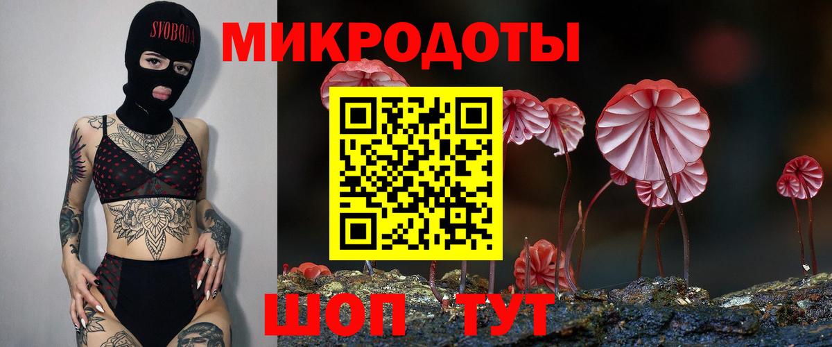 Псилоцибиновые грибы ЛСД Тавда